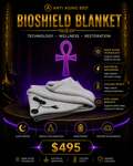 ⚡️ GROUNDING ANTI AGING BED COVER™ 𓂀𓋹